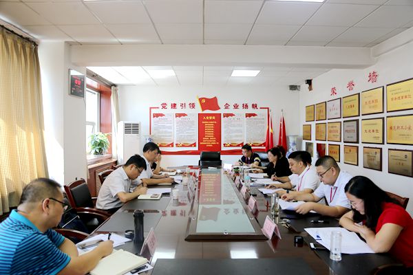 陕西地矿区研院有限公司召开以案促改专题民主生活会