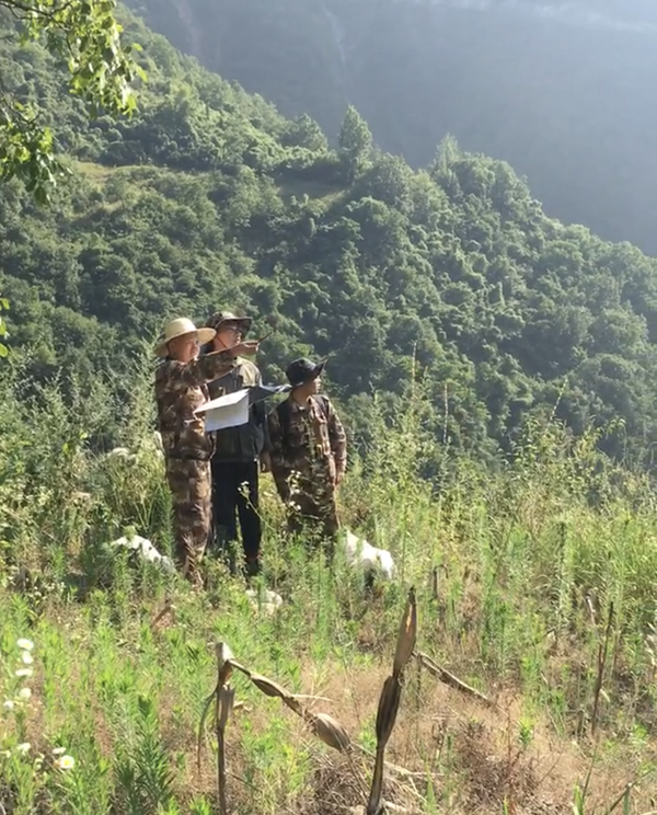 无惧“烤”验，不负“热”爱，用坚持成就不凡！----我公司陕西省镇安县早阳山一带钴多金属矿预查项目找矿成果显著