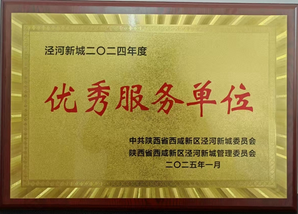 陕西地矿区研院有限公司荣获泾河新城“优秀服务单位”称号